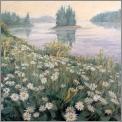 Camomiles