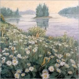 Camomiles by Alexander Nefedov Camomiles